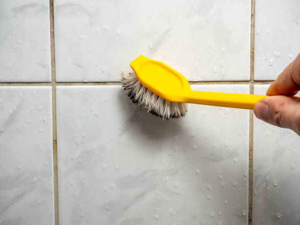 Best Mold Testing  in Celina, TN