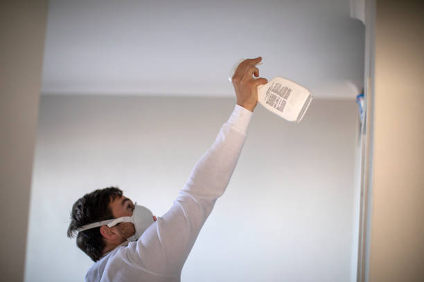 Certified Mold Removal in Celina, TN