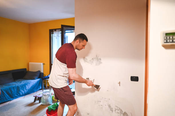 Best Black Mold Removal  in Celina, TN